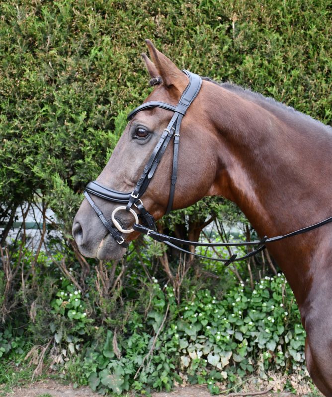 Rhinegold Softee Padded Leather Pro-Anatomical Flash Bridle - Top Of The Clops