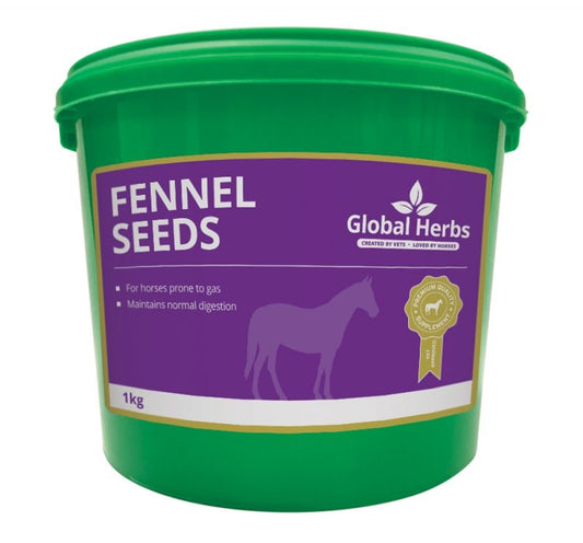 Global Herbs Fennel Seeds - Top Of The Clops
