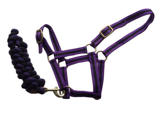 Harlequin Headcollar And Rope Set - Top Of The Clops
