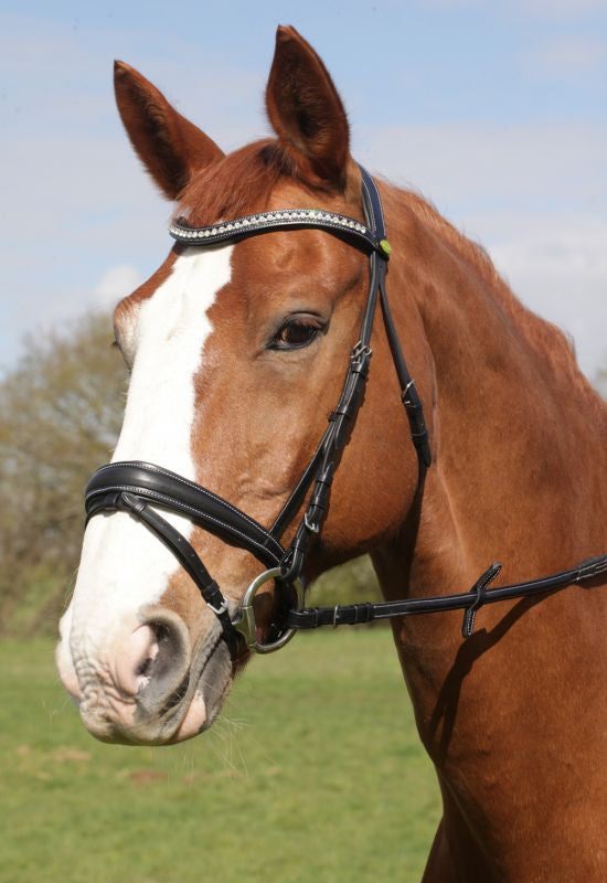 Rhinegold Anatomical Flash Bridle - Top Of The Clops