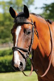 JHL Flash Bridle - Top Of The Clops