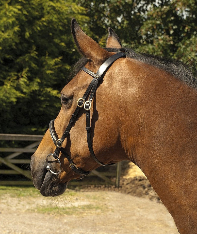 Heritage English Leather In-Hand Bridle - Top Of The Clops