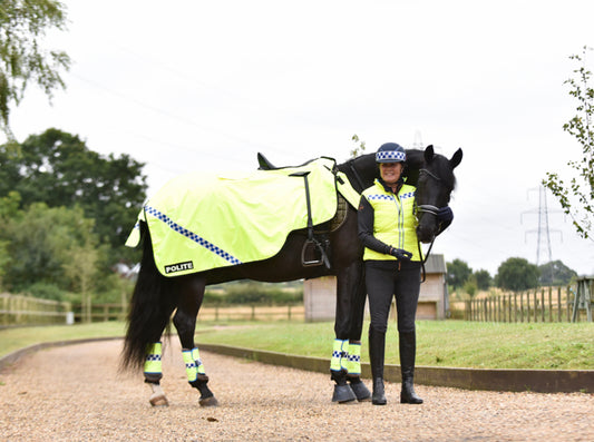 Equisafety Polite Wraparound Exercise Sheet - Top Of The Clops