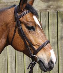 JHL Raised Cavesson Bridle - Top Of The Clops