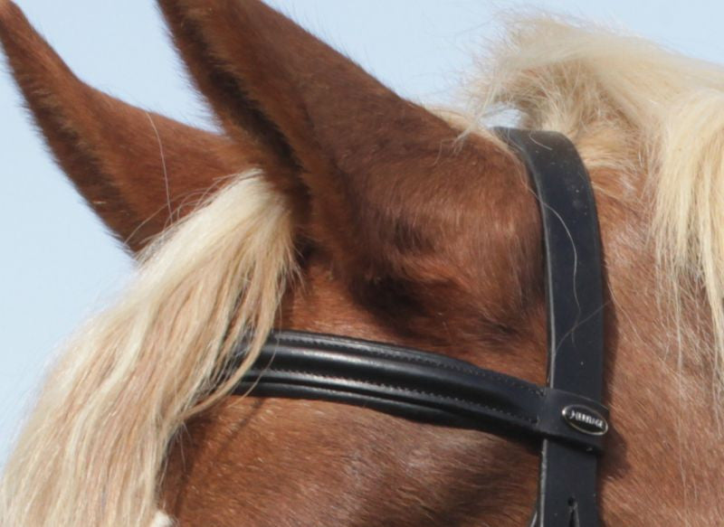 Heritage English Leather Flash Bridle - Top Of The Clops
