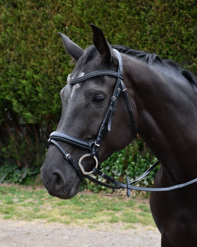 Rhinegold Italia Luxury Anatomical Flash Bridle - Top Of The Clops