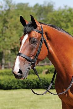 JHL Hunter Cavesson Bridle - Top Of The Clops