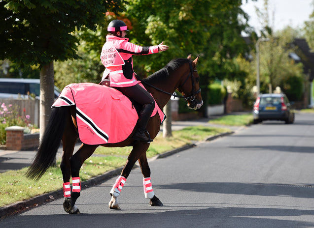 Equisafety Wraparound Exercise Sheet - Top Of The Clops