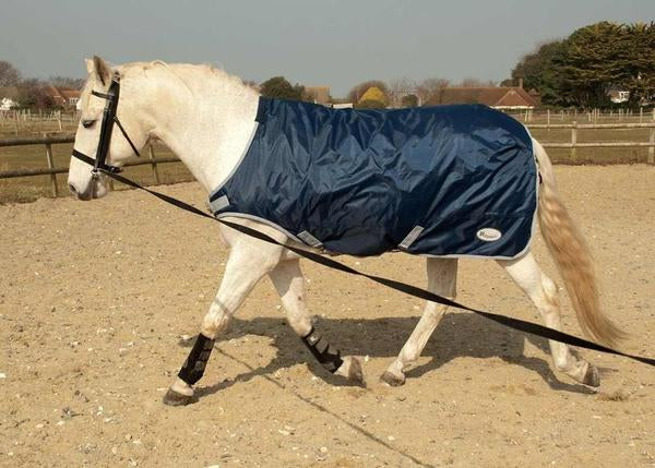 Lunging Equipment