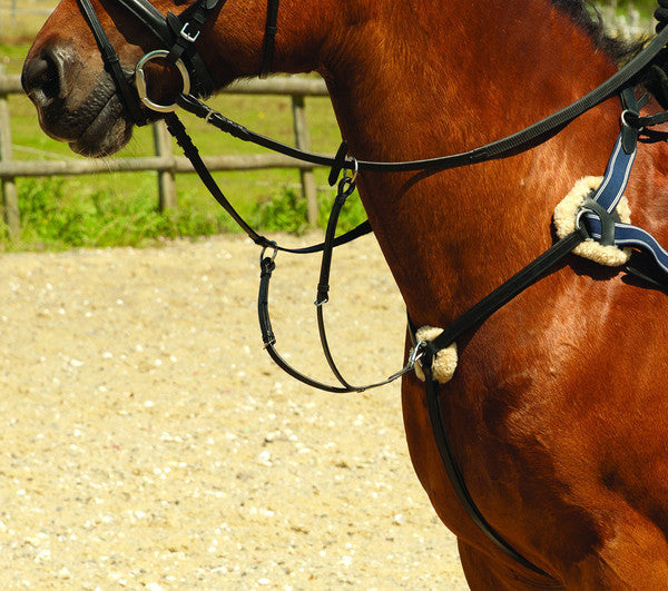Martingales & Breastplates