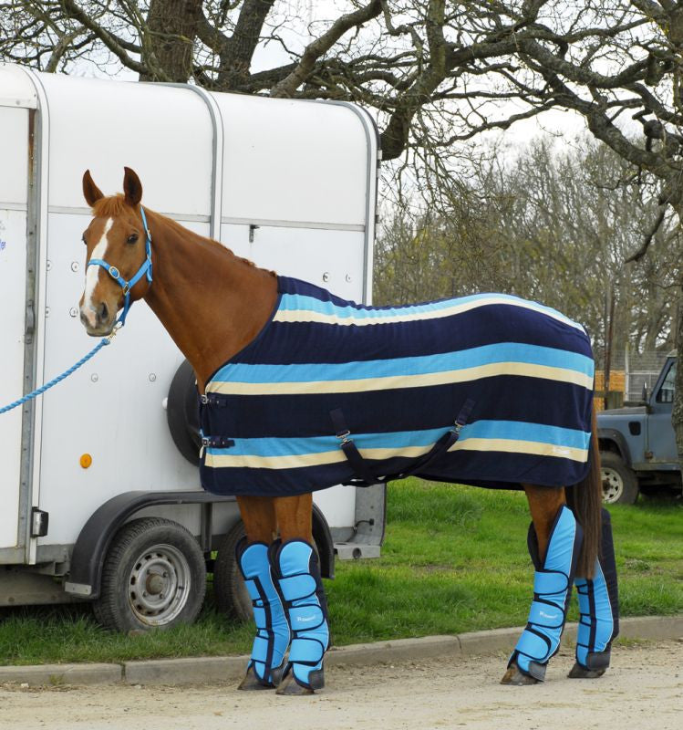 Horse Travel Wear