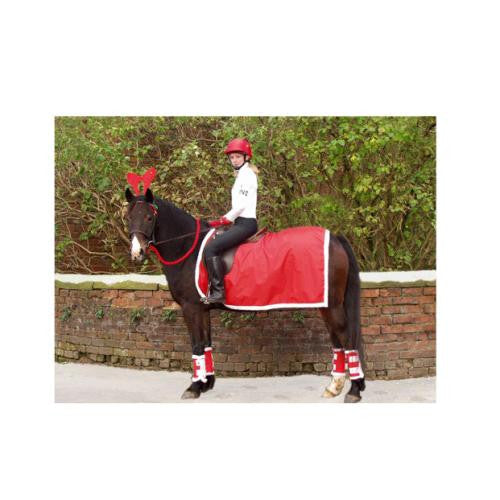 Christmas Horsey Products