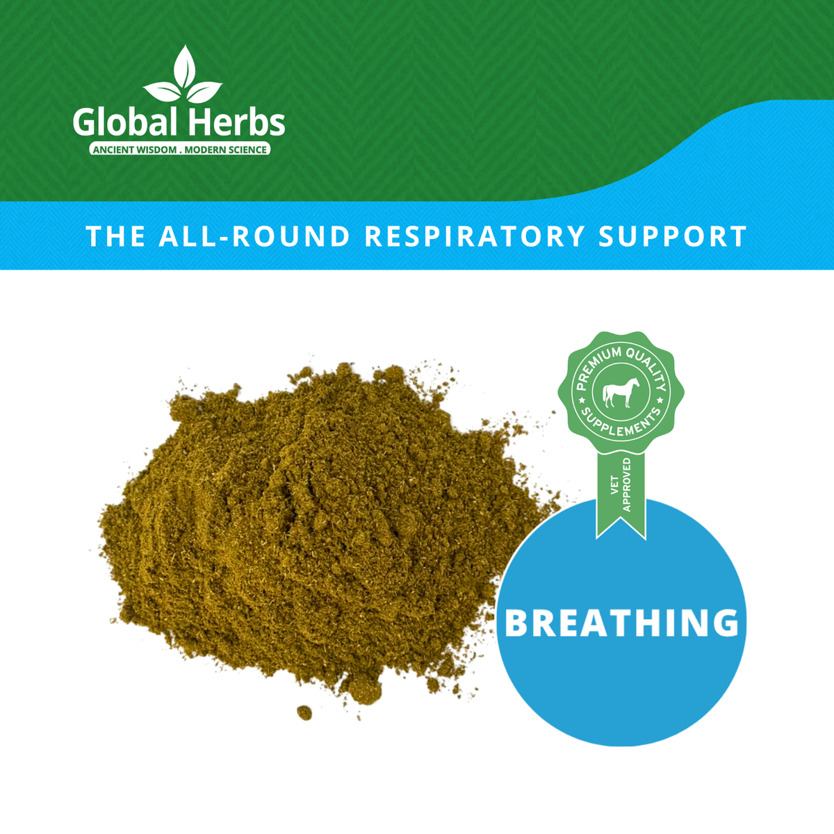 Airway Plus Powder Refill Pouch 750g - Global Herbs