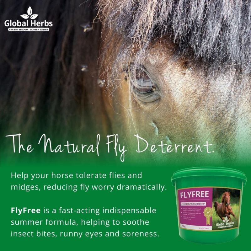 Global Herbs Fly Free