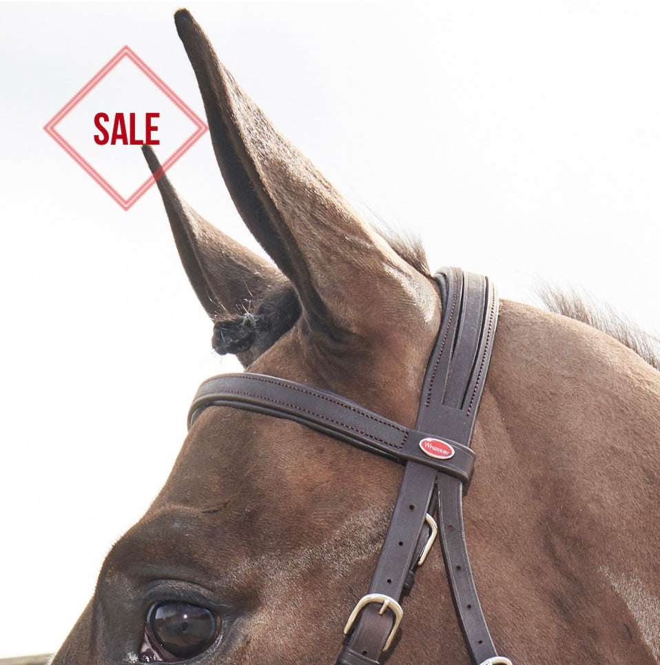 Whitaker Ready to Ride Snaffle Bridle