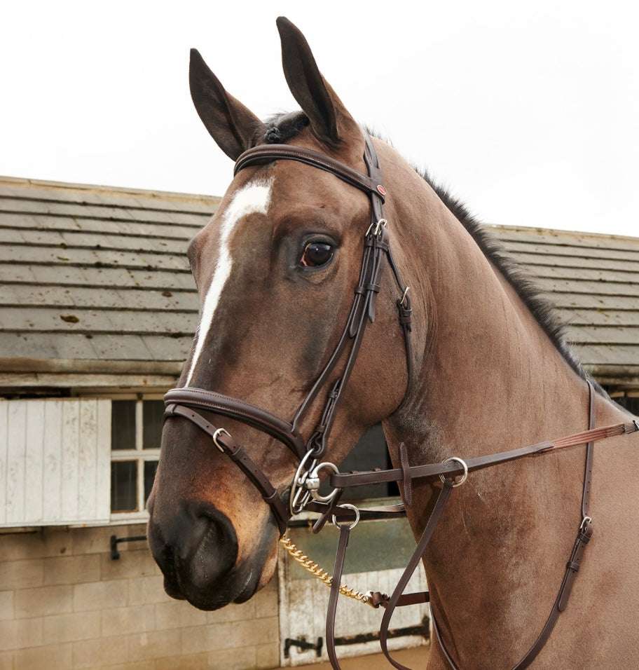Whitaker Ready to Ride Flash Bridle