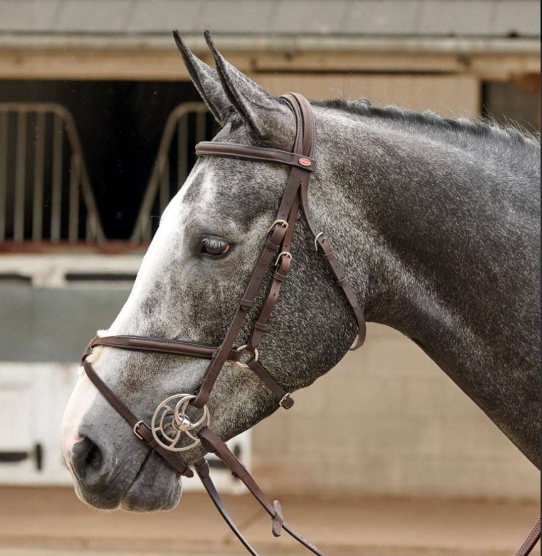 Whitaker Ready to Ride Mexican Bridle