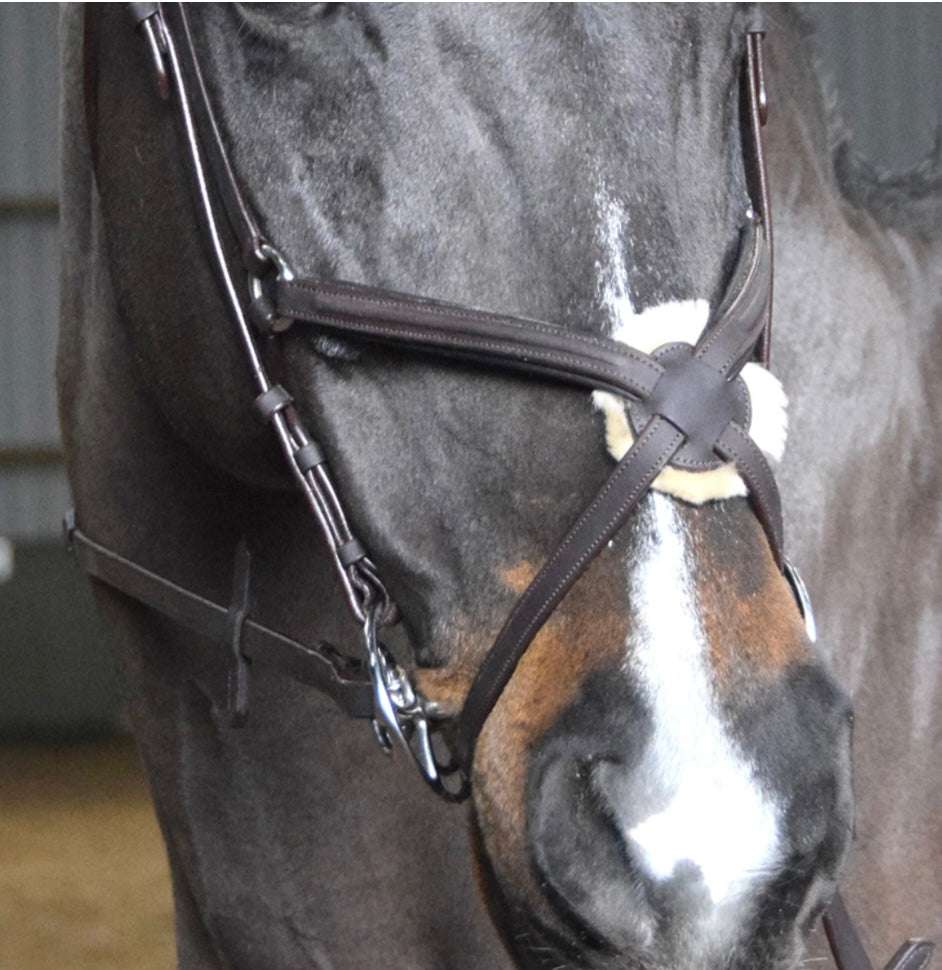 Whitaker Ready to Ride Mexican Bridle