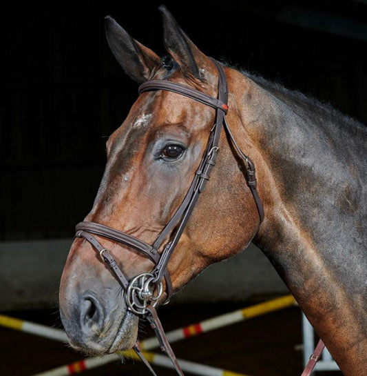 Whitaker Ready to Ride Flash Bridle