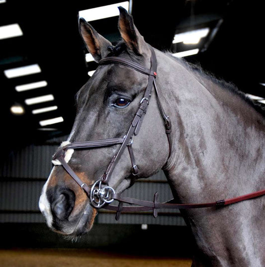 Whitaker Ready to Ride Mexican Bridle