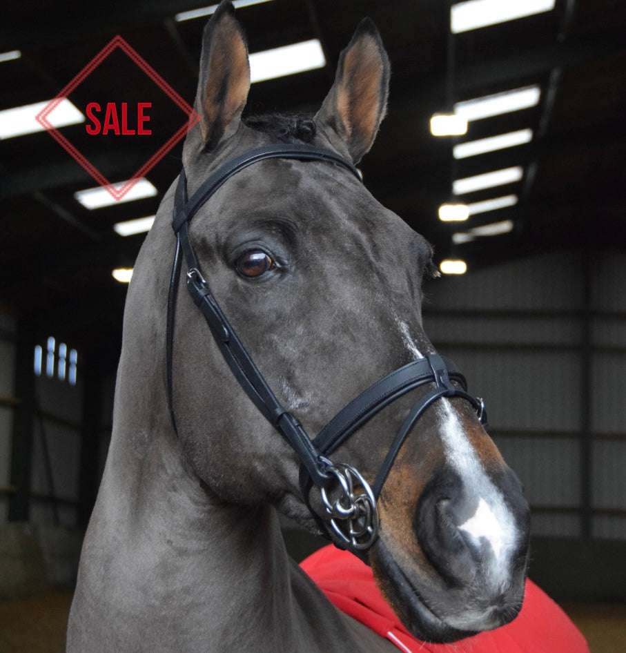 Whitaker Ready to Ride Snaffle Bridle