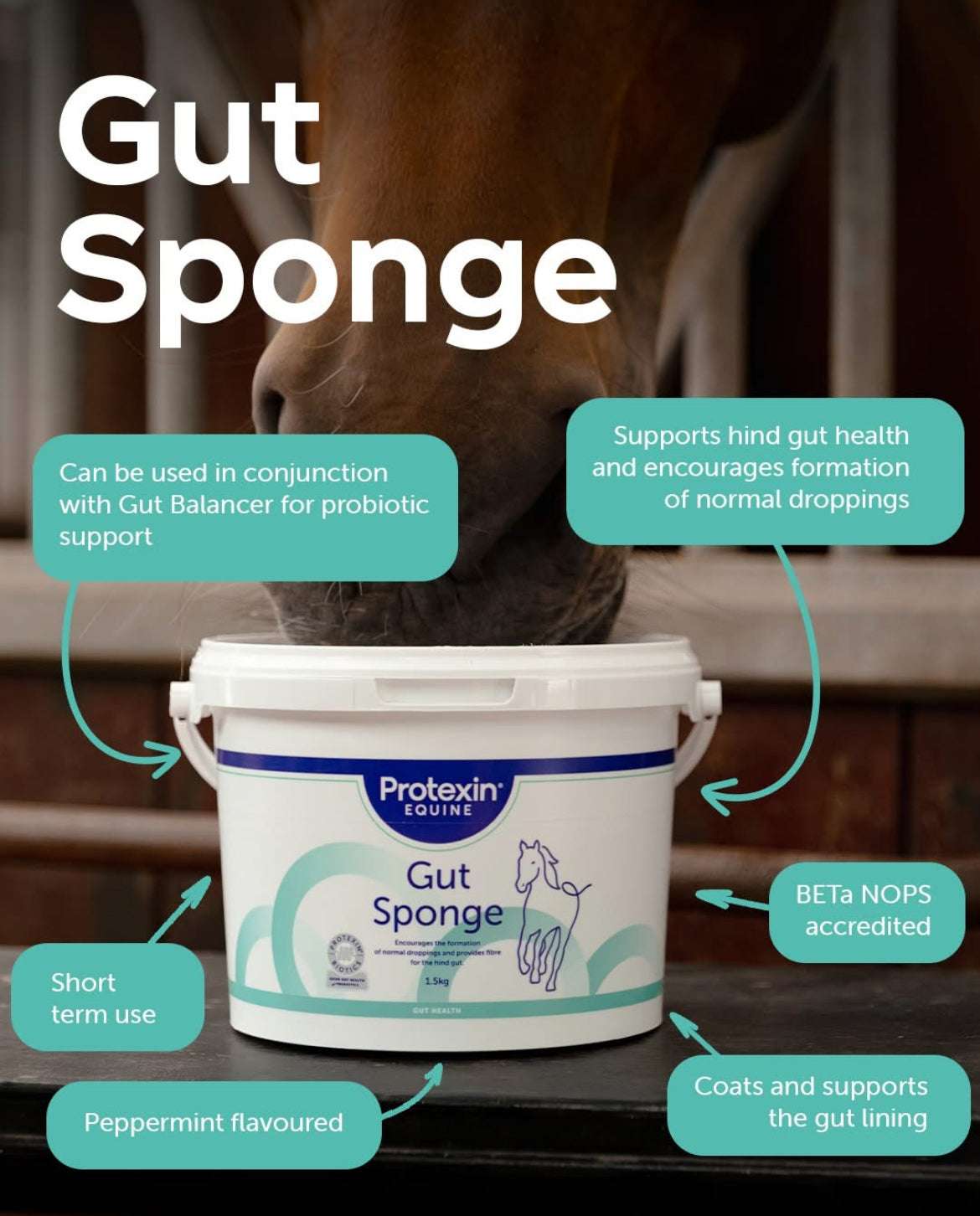 Protexin Gut Sponge