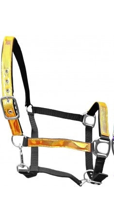 Holographic Headcollar