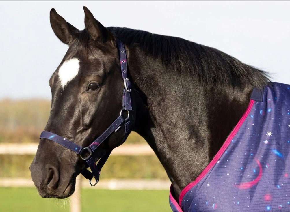 Hy Out Of This World Headcollar and Lead Rope