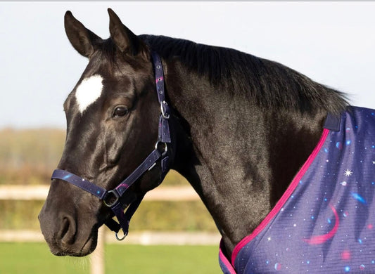 Hy Out Of This World Headcollar and Lead Rope