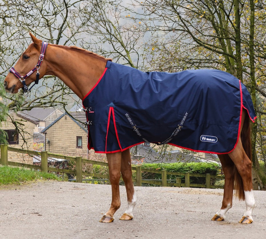 Whitaker Rastrick V2 100G Turnout