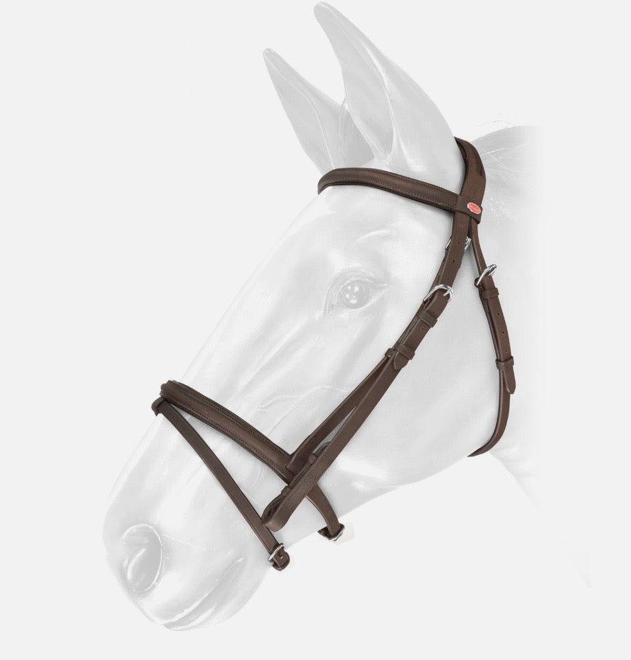 Whitaker Ready to Ride Flash Bridle