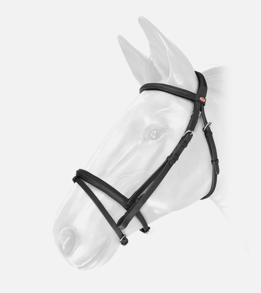 Whitaker Ready to Ride Flash Bridle