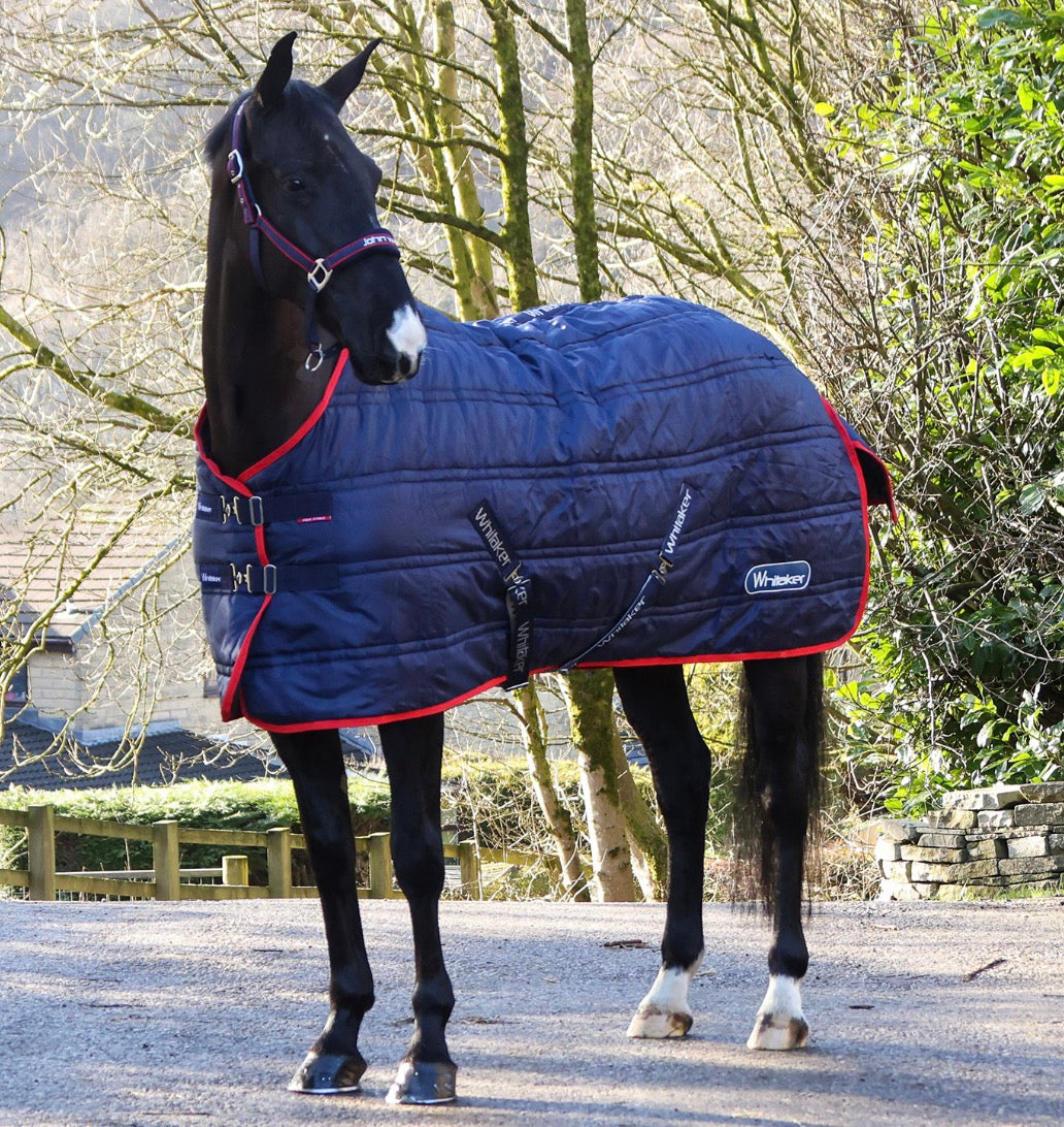 Whitaker Rastrick V2 200G Stable Rug