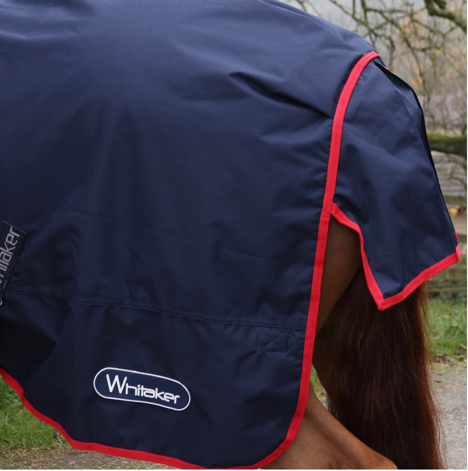 Whitaker Rastrick V2 100G Turnout