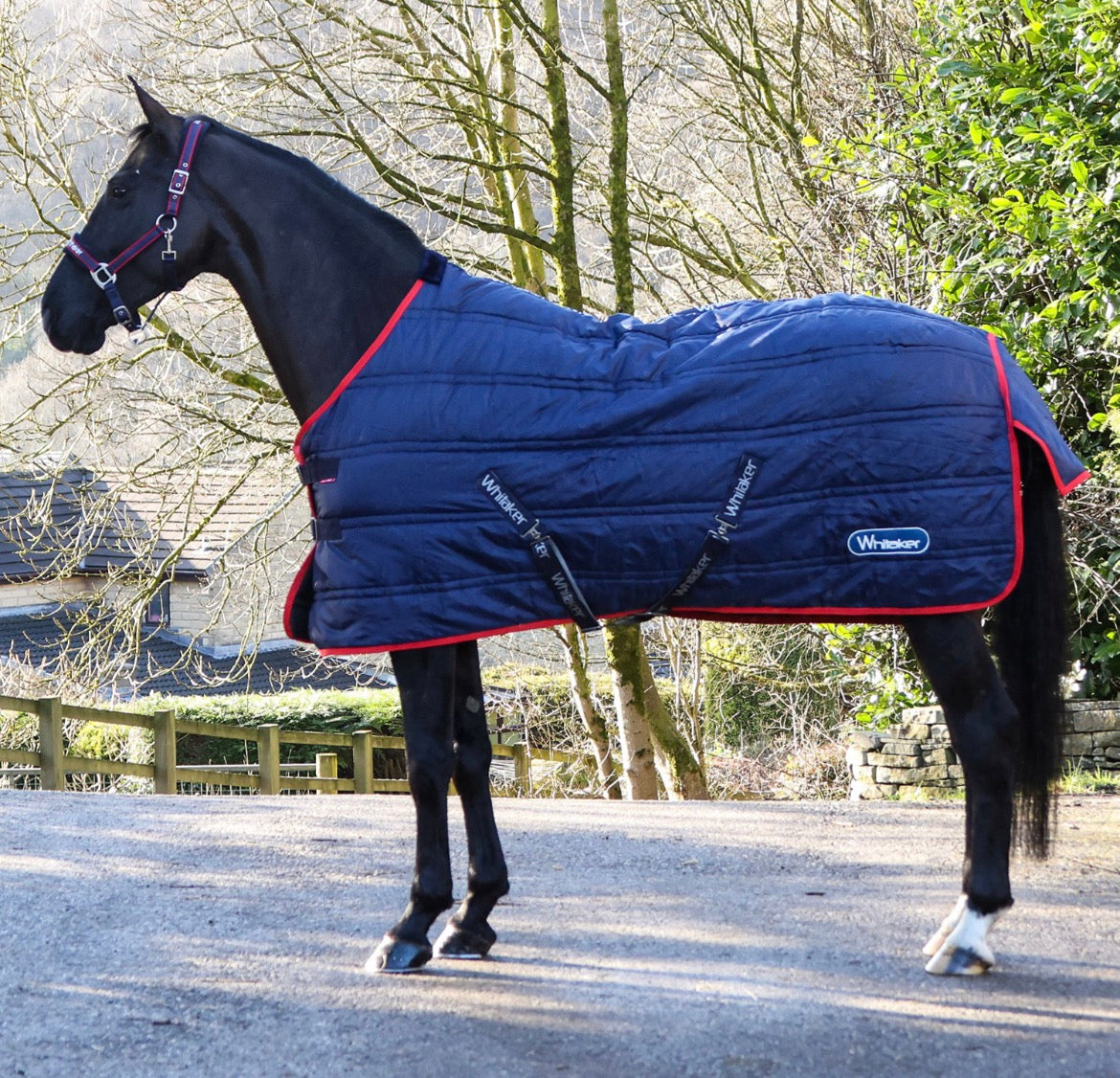 Whitaker Rastrick V2 200G Stable Rug