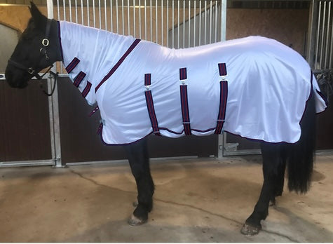 Buxton Combo Fly Rug