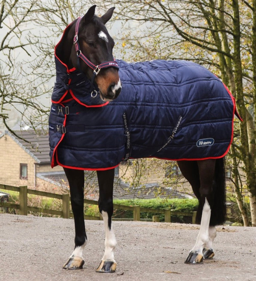 Whitaker Rastrick V2 250G Combo Stable Rug