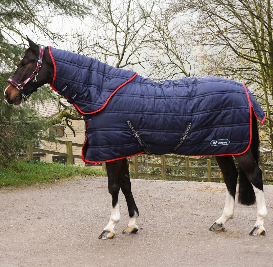 Whitaker Rastrick V2 250G Combo Stable Rug