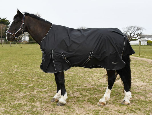 Rhinegold Capri 100gsm Turnout Rug