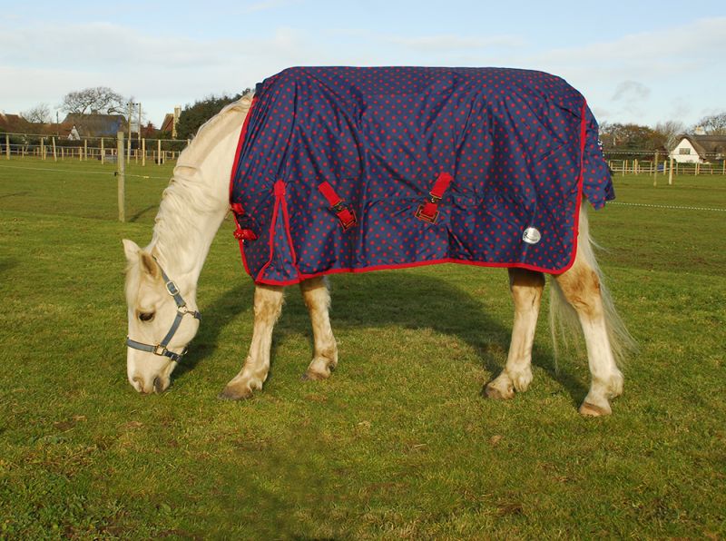 Rhinegold Bolivia Dottie No Fill Turnout Rug