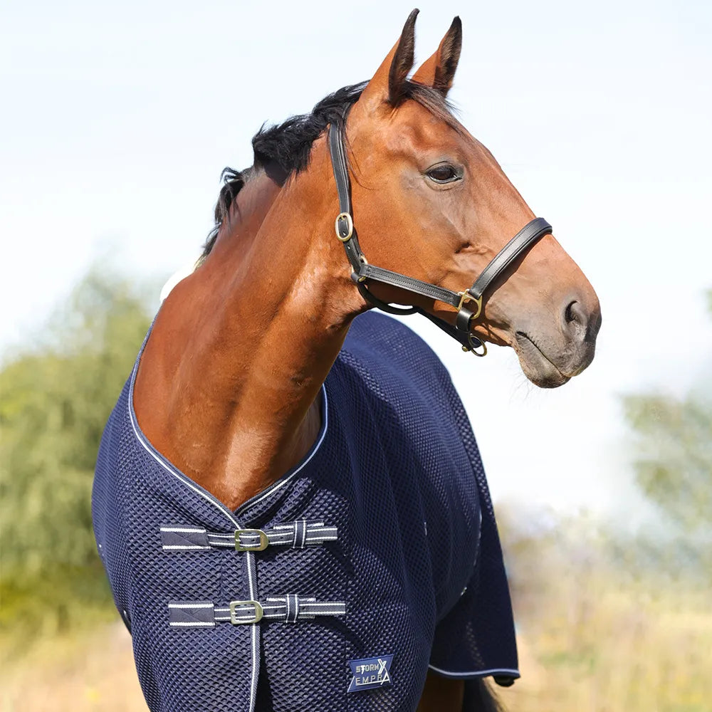 HY StormX Empra AirFlex 3D Rug