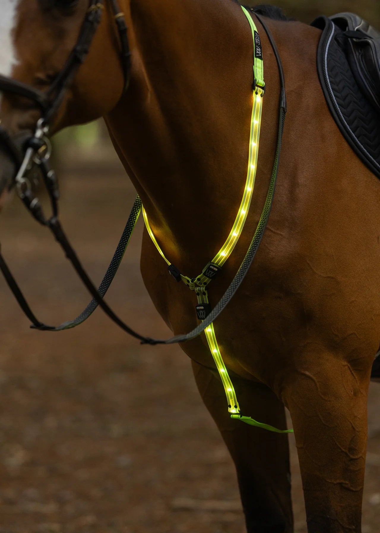 Woof Wear LED Neck Band