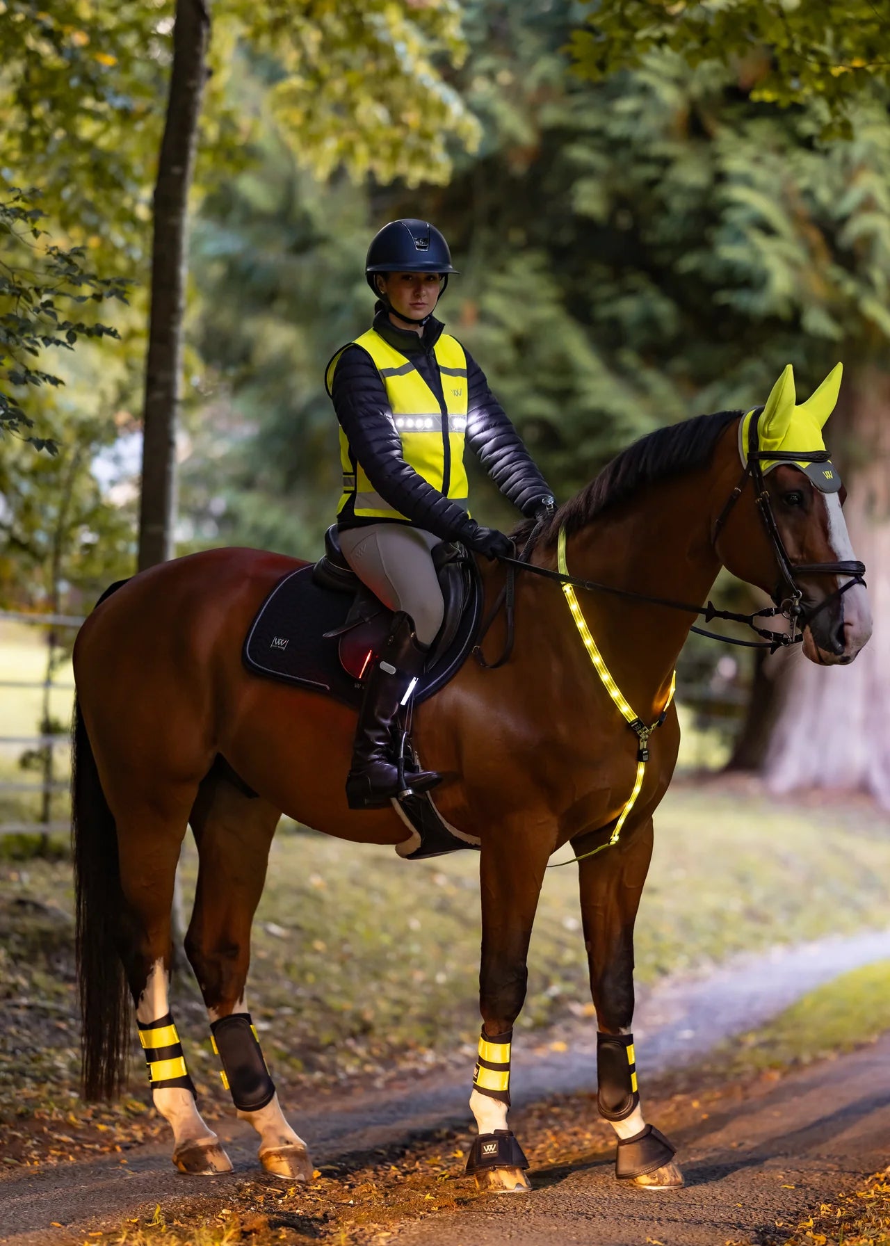 Woof Wear LED Neck Band