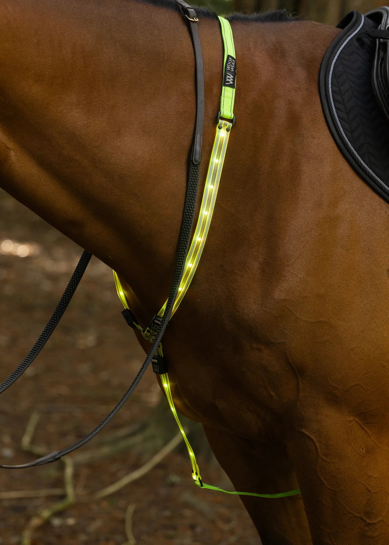 Woof Wear LED Neck Band