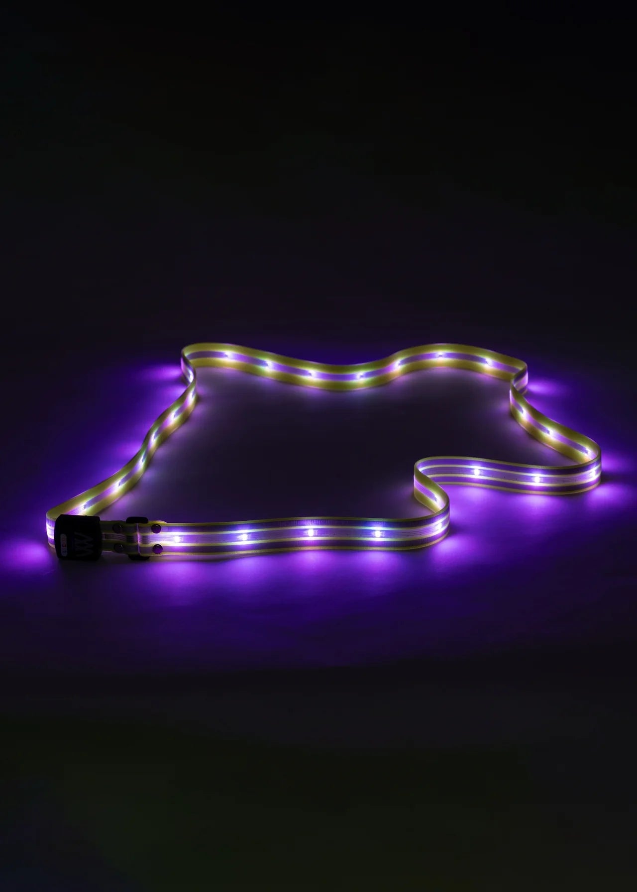 Woof Wear LED Sash