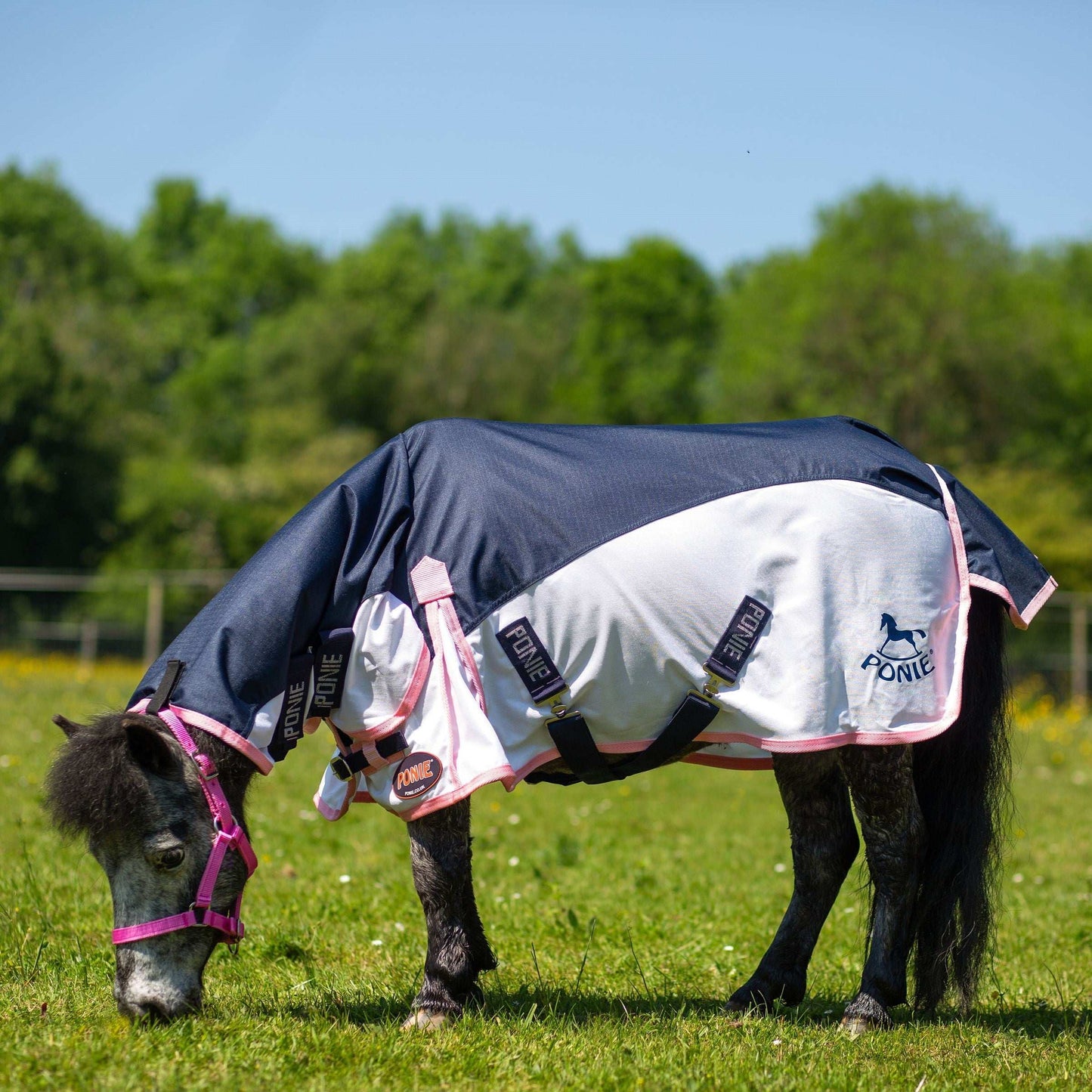 Gallop Ponie Turnout Fly Rug Combo