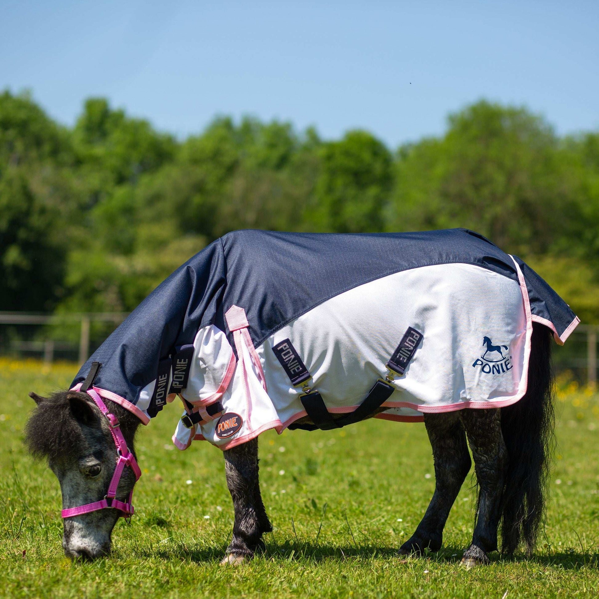Gallop Ponie Turnout Fly Rug Combo