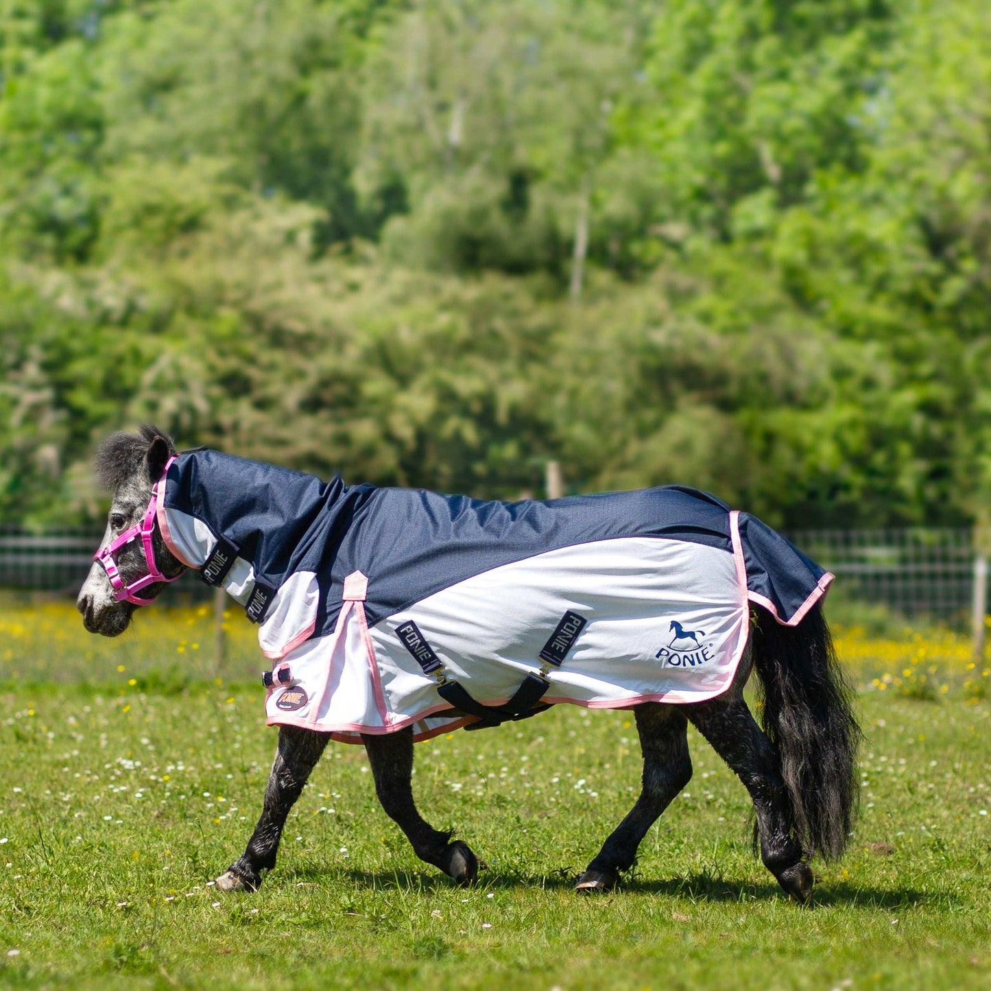 Gallop Ponie Turnout Fly Rug Combo