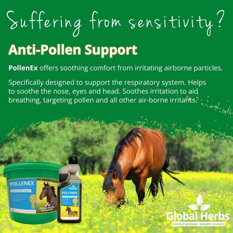 Global Herbs PolleneX