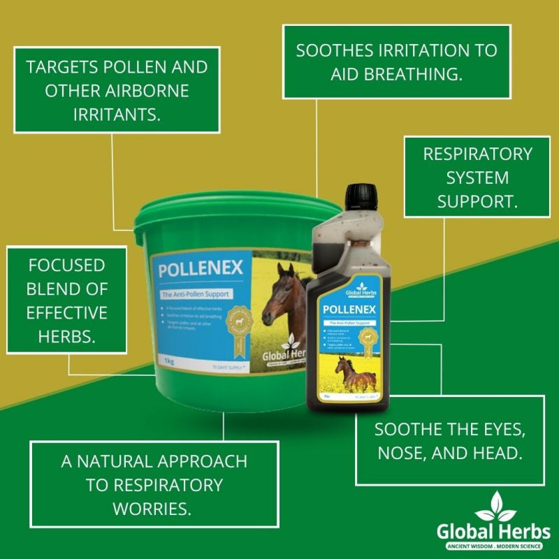 Global Herbs PolleneX